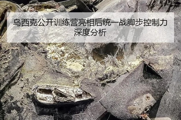 wu-xi-ke-gong-kai-xun-lian-ying-liang-xiang-hou-tong-yi-zhan-jiao-bu-kong-zhi-li-shen-du-fen-xi-2-482.jpg